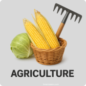 Agriculture