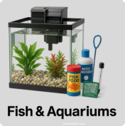 Fish & Aquariums