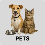 Pets
