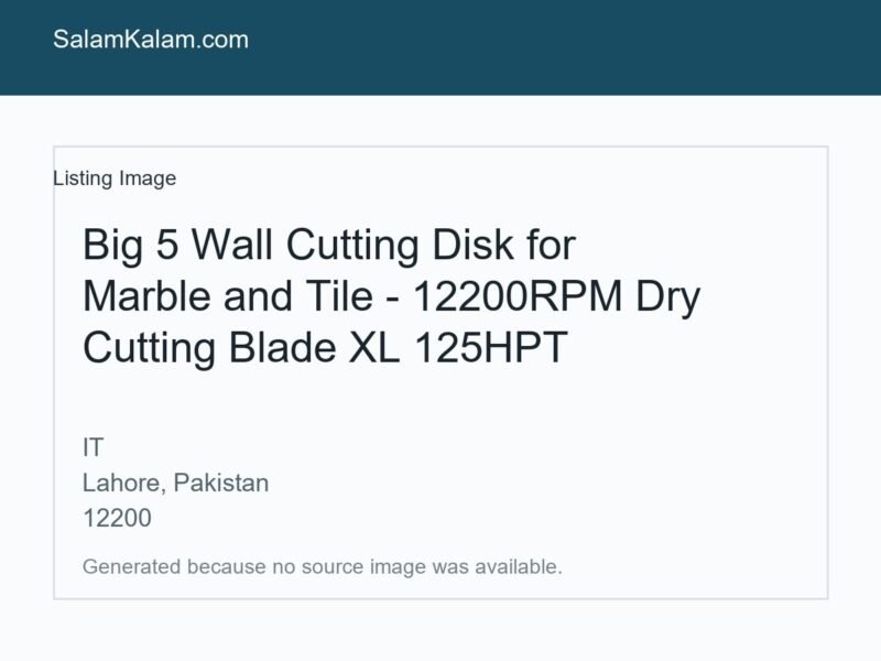 Big 5 Wall Cutting Disk for