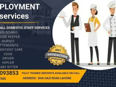 Domestic, Staff, Provided,