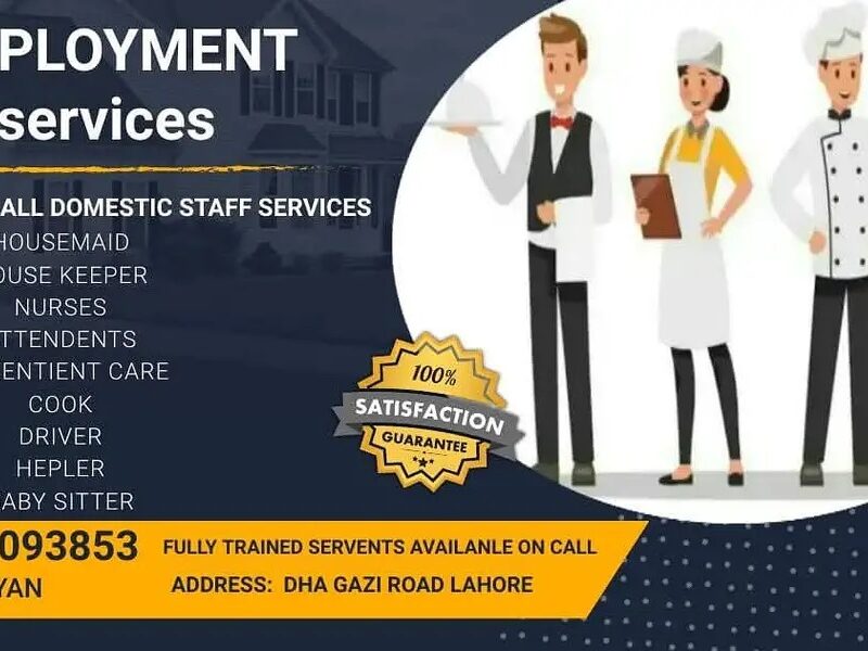 Domestic, Staff, Provided,