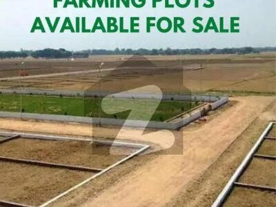 Farmhouse & Cattlefarm Land
