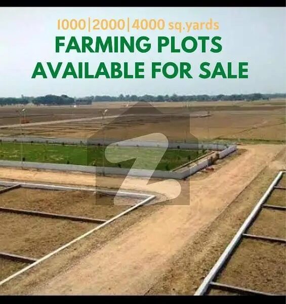 Farmhouse & Cattlefarm Land