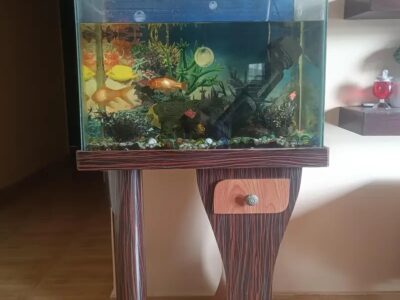 Full Fish Aquarium Setup 2ft