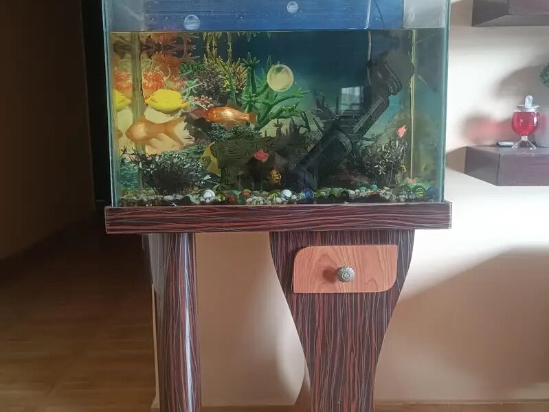 Full Fish Aquarium Setup 2ft