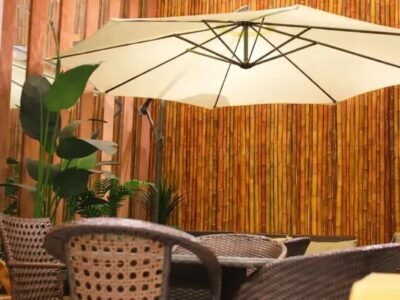 Lotus Furniture Is Looking
