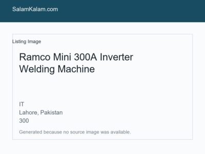 Ramco Mini 300A Inverter