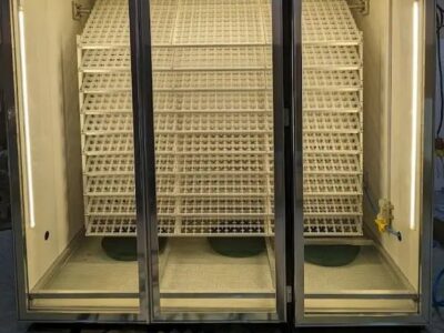 5000 Eggs Capacity Incubator
