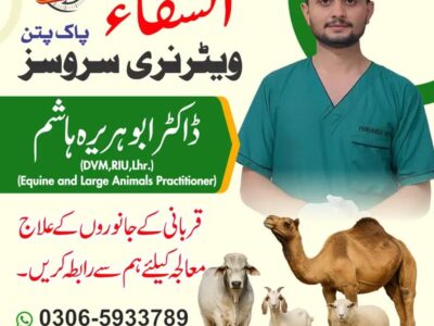 Al Shifa Veterinary Services