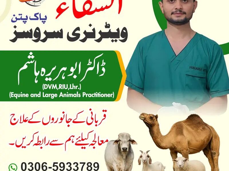 Al Shifa Veterinary Services