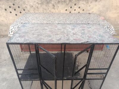Aseel Iron Cage for Sale 4