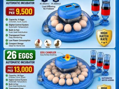 Automatic Egg Incubator