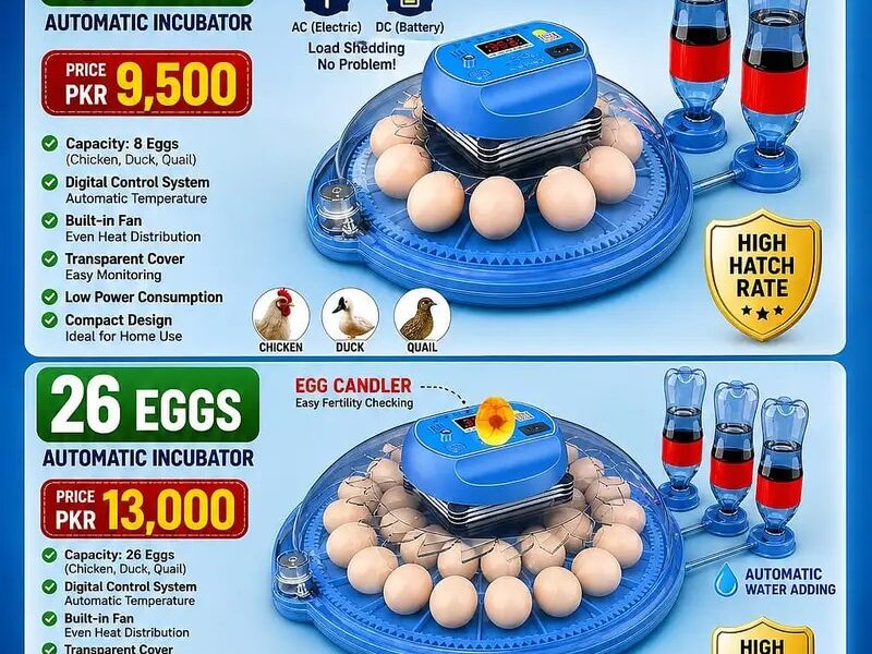 Automatic Egg Incubator