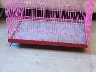 Birds Cage - Pet Cage - Cage