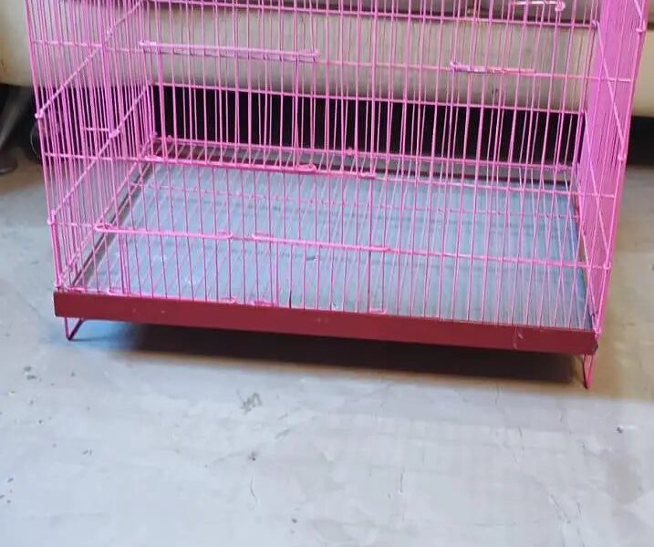 Birds Cage - Pet Cage - Cage