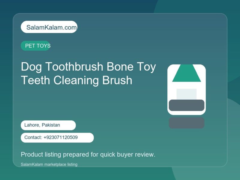Dog Toothbrush Bone Toy