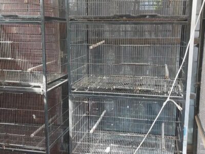 Iron Shed Cages - 4 Portion