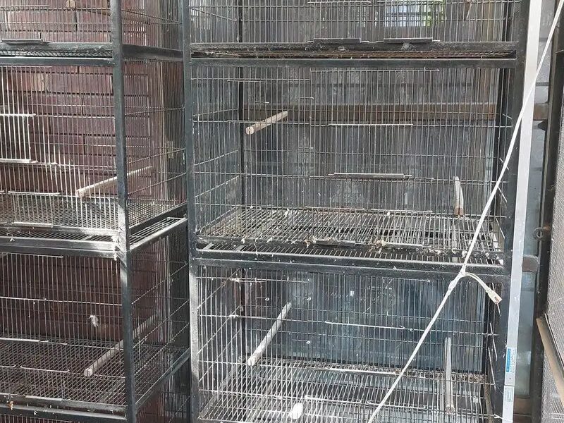 Iron Shed Cages - 4 Portion