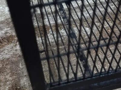 Iron Steel Cages for Sale -