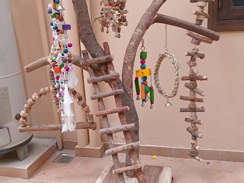 Parrot Bird Toys Wooden