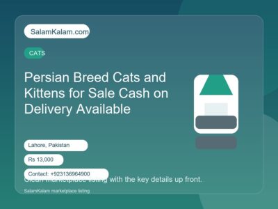 Persian Breed Cats and