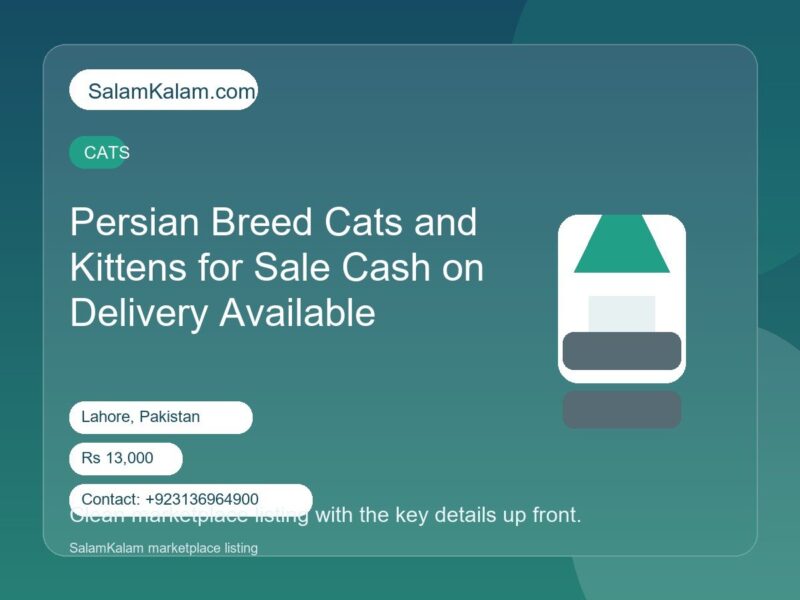 Persian Breed Cats and