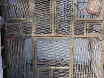 Pet Cage and Hen Cage