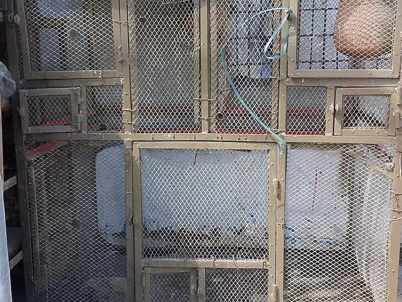 Pet Cage and Hen Cage