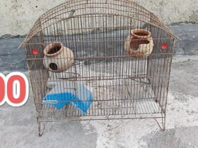 Pet Cages