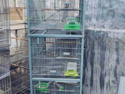 Used Cage Birds Cage Pet