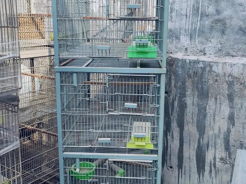 Used Cage Birds Cage Pet
