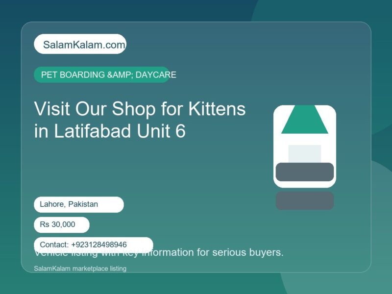 Visit Our Shop for Kittens