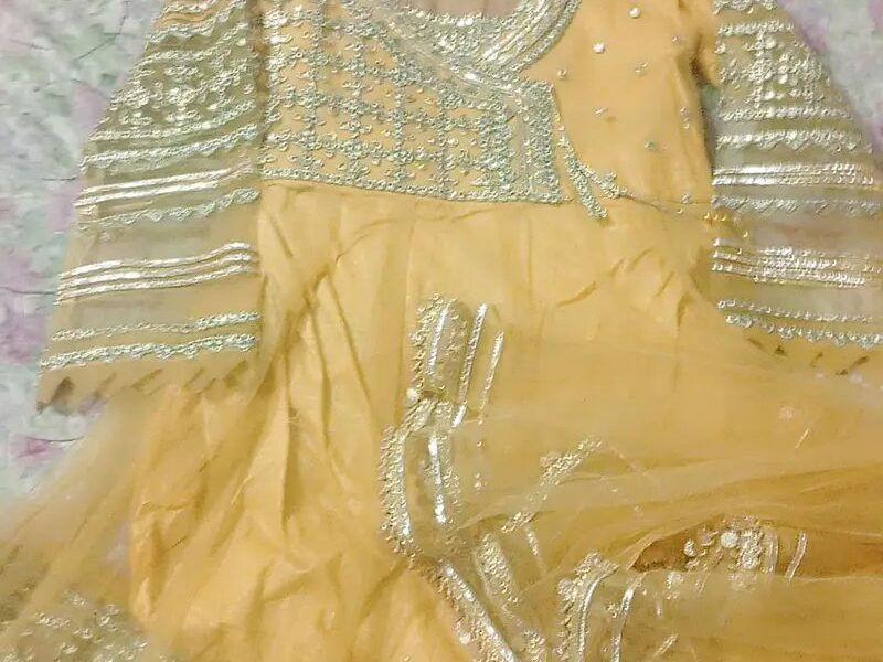 3pc Net Frock Hota Work