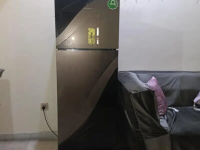 Black Fridge