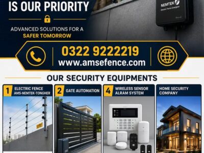 Electric Home Security