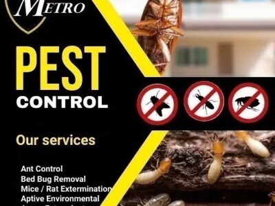 Fumigation Services -