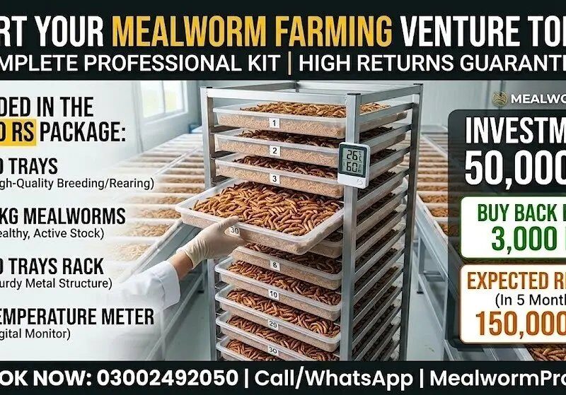 Mealworms Farming - Monthly