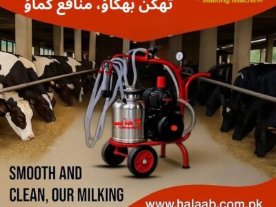 Milking Machine Cow&
