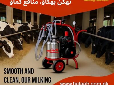 Milking Machine - Milking