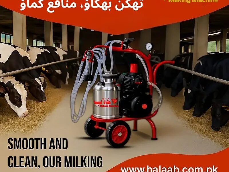 Milking Machine - Milking