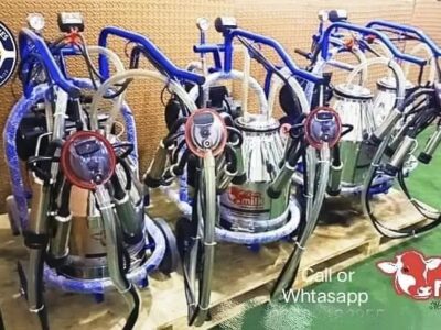 Milking Machines - Dairy