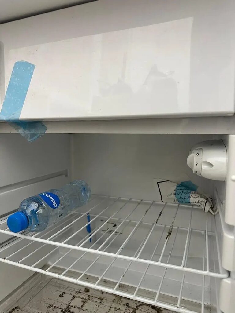 Mini Fridge