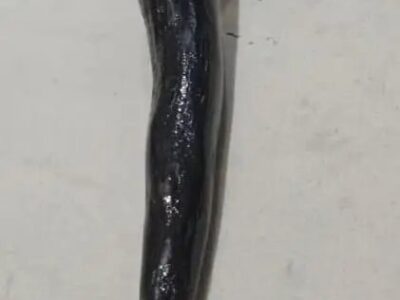 Old Antique Piece