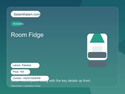 Room Fidge
