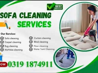 Sofa Cleaning - Chair