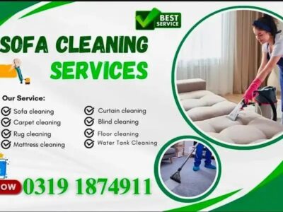 Sofa Cleaning - Floor