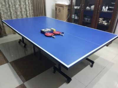 Table Tennis TablePing Pong