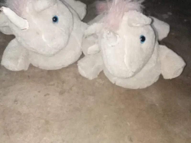 Unicorn Shoes