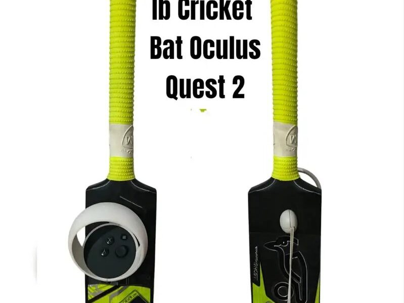 Vr Cricket Accessory for